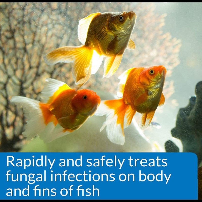API Pimafix Treats Fungal Infections for Freshwater and Saltwater Fish - Scales & Tails Exotic Pets