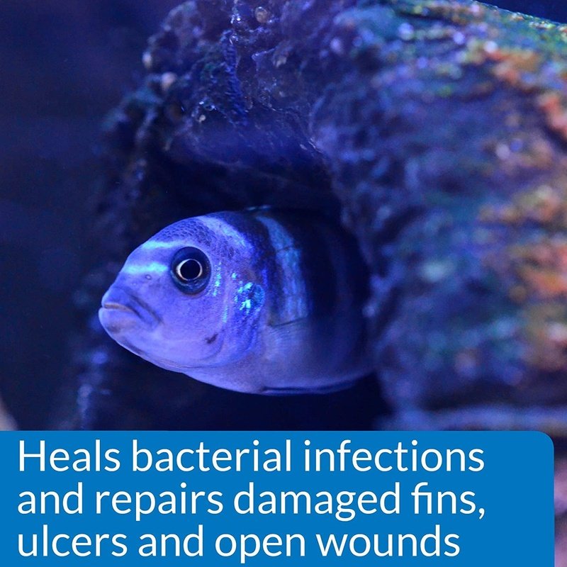 API MelaFix Treats Bacterial Infections for Freshwater and Saltwater Aquarium Fish - Scales & Tails Exotic Pets