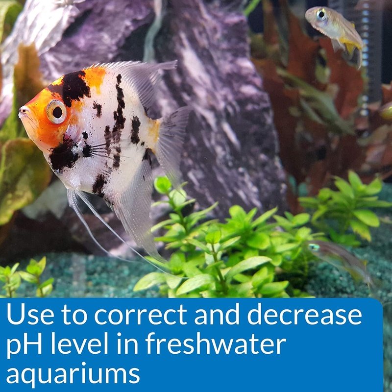 API pH Down Lowers Aquarium pH for Freshwater Aquariums - Scales & Tails Exotic Pets