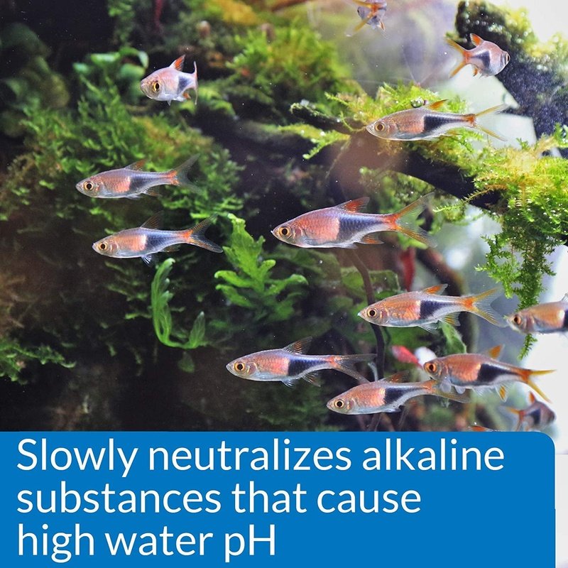 API pH Down Lowers Aquarium pH for Freshwater Aquariums - Scales & Tails Exotic Pets