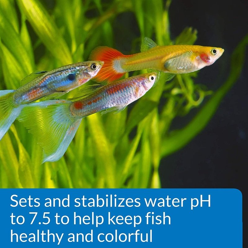 API Proper pH Sets and Stabilizes Freshwater Aquariums - Scales & Tails Exotic Pets