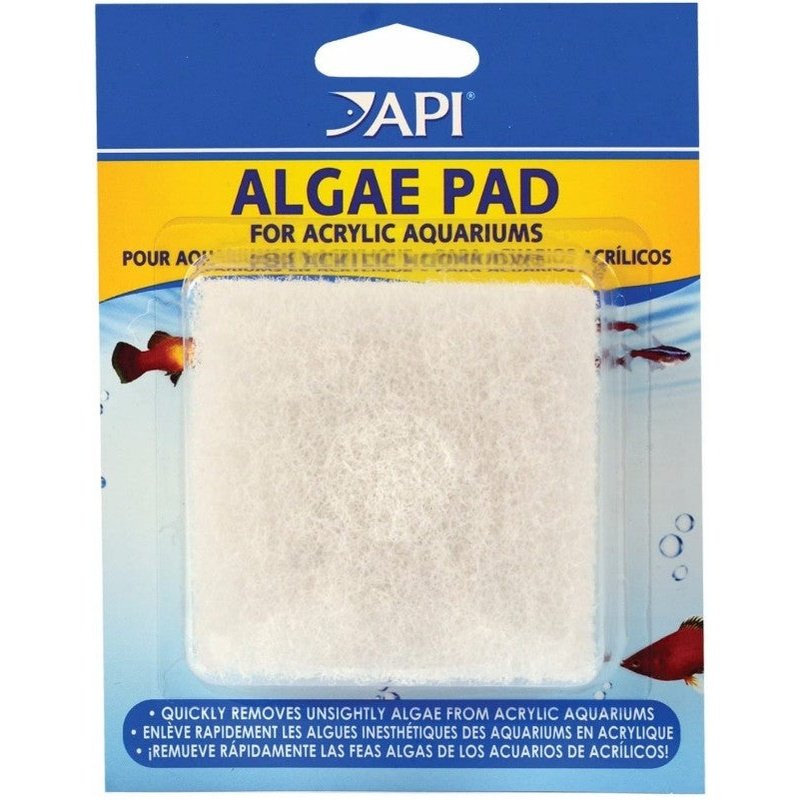 API Hand Held Algae Pad for Acrylic Aquariums - Scales & Tails Exotic Pets