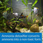 API Ammo Lock Detoxifies Aquarium Ammonia - Scales & Tails Exotic Pets