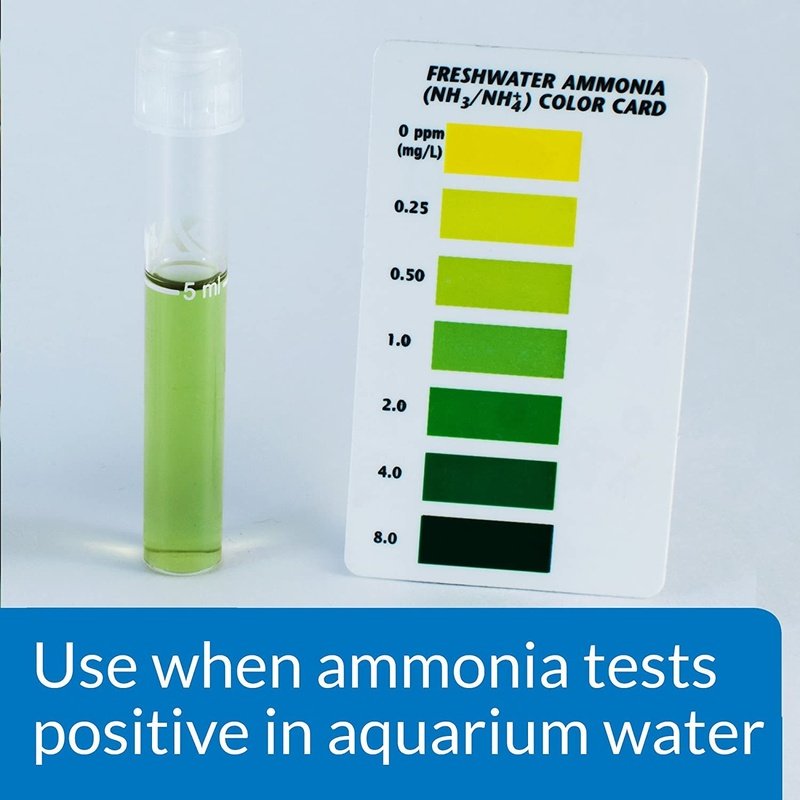 API Ammo Lock Detoxifies Aquarium Ammonia - Scales & Tails Exotic Pets