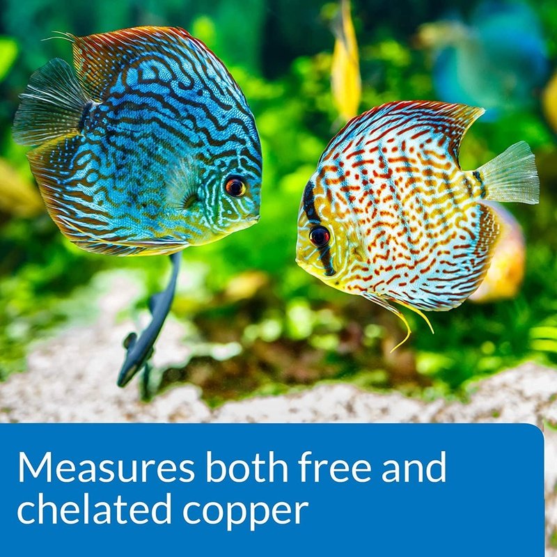 API Copper Cu+ Test Kit Monitor Copper when Medicating in Freshwater and Saltwater Aquariums - Scales & Tails Exotic Pets