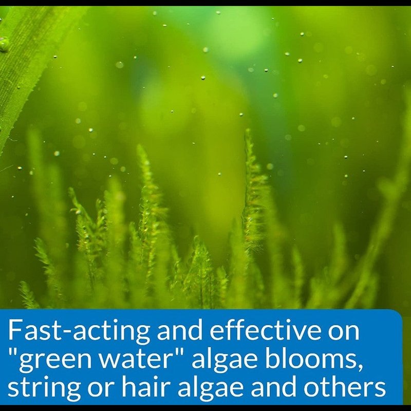 API AlgaeFix Controls Algae Growth for Freshwater Aquariums - Scales & Tails Exotic Pets