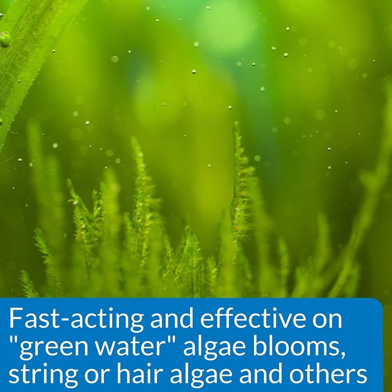 API AlgaeFix Controls Algae Growth for Freshwater Aquariums - Scales & Tails Exotic Pets