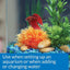 API Betta Water Conditioner Makes Tap Water Safe - Scales & Tails Exotic Pets