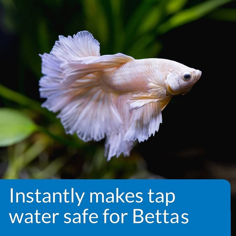 API Betta Water Conditioner Makes Tap Water Safe - Scales & Tails Exotic Pets