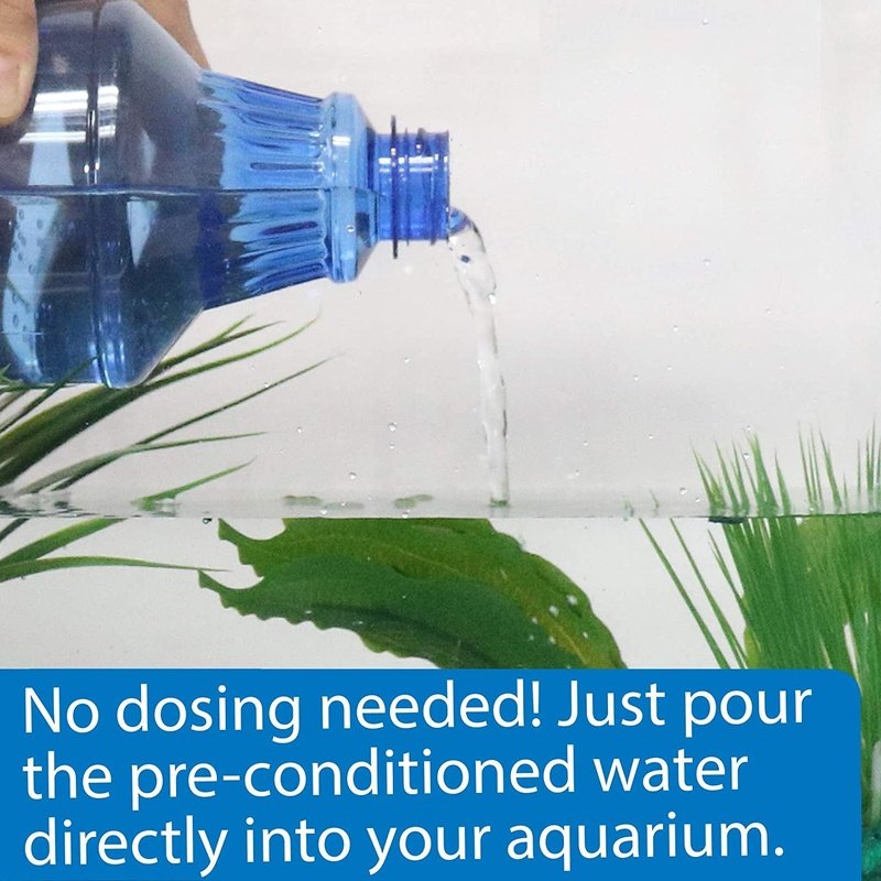 API Betta Water Add Fish Instantly - Scales & Tails Exotic Pets