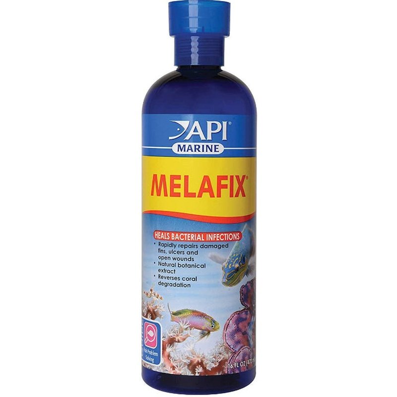 API Marine Melafix Heals Bacterial Infections - Scales & Tails Exotic Pets