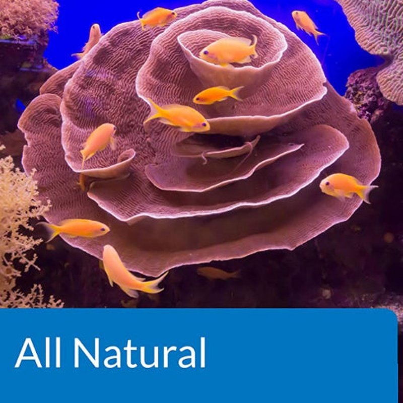 API Marine Stress Zyme Cleans Live Rock and Sand Adding Beneficial Bacteria - Scales & Tails Exotic Pets