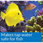 API Marine Quick Start Allows Instant Addition of Fish - Scales & Tails Exotic Pets