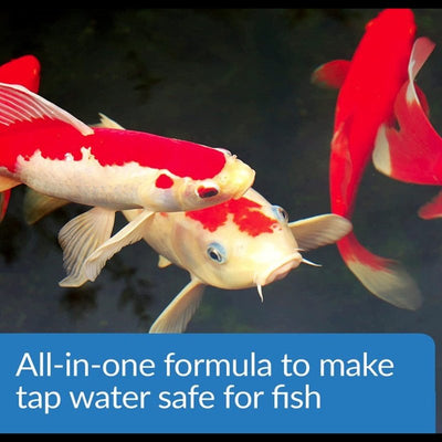 API Pond Aqua Essential Water Conditioner - Scales & Tails Exotic Pets