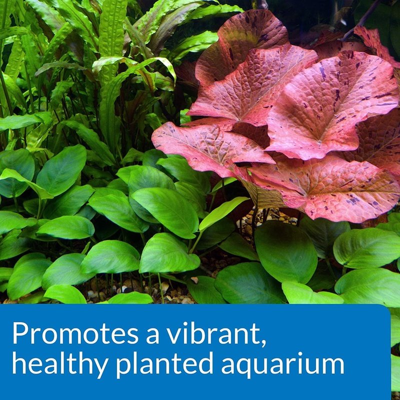 API CO2 Booster Promotes a Vibrant, Healthy Planted Aquarium - Scales & Tails Exotic Pets