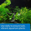 API CO2 Booster Promotes a Vibrant, Healthy Planted Aquarium - Scales & Tails Exotic Pets