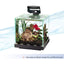 Aqueon Betta LED Light for Aquariums up to 3 Gallons - Scales & Tails Exotic Pets