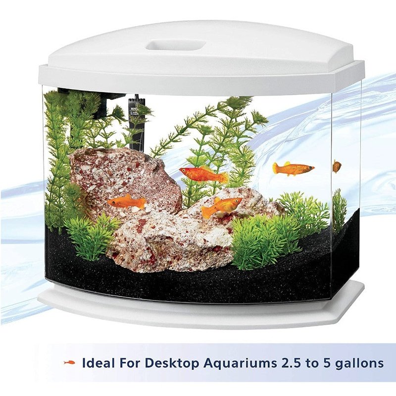 Aqueon Mini Heater for Desktop Aquariums - Scales & Tails Exotic Pets