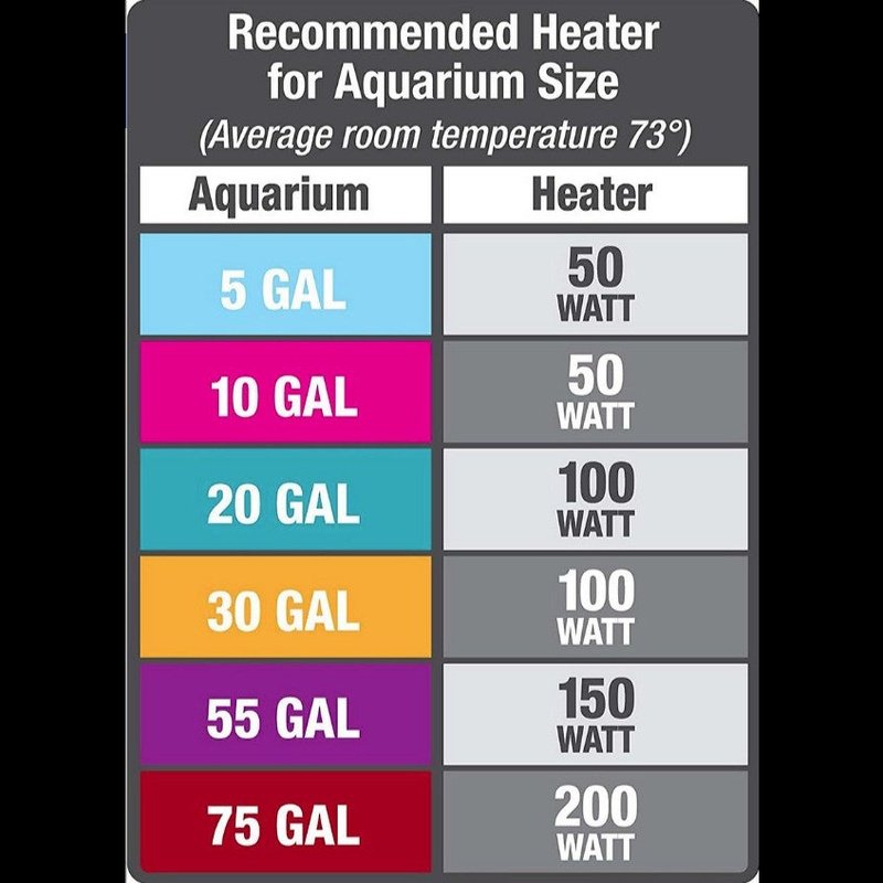 Aqueon Preset Heater for Aquariums Compact Size - Scales & Tails Exotic Pets