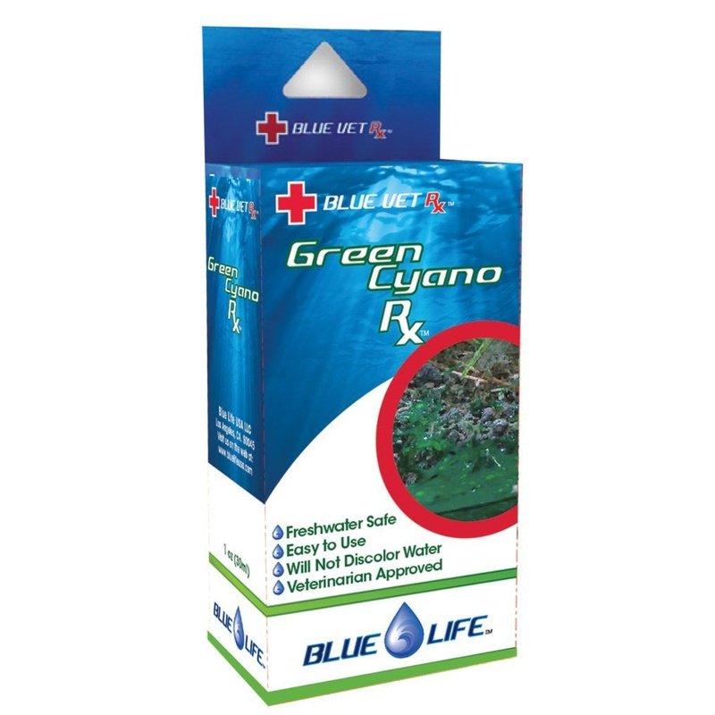 Blue Life Green Cyano Rx for Aquariums - Scales & Tails Exotic Pets