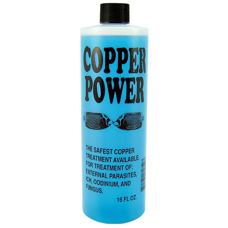 Copper Power Marine Copper Treatment - Scales & Tails Exotic Pets