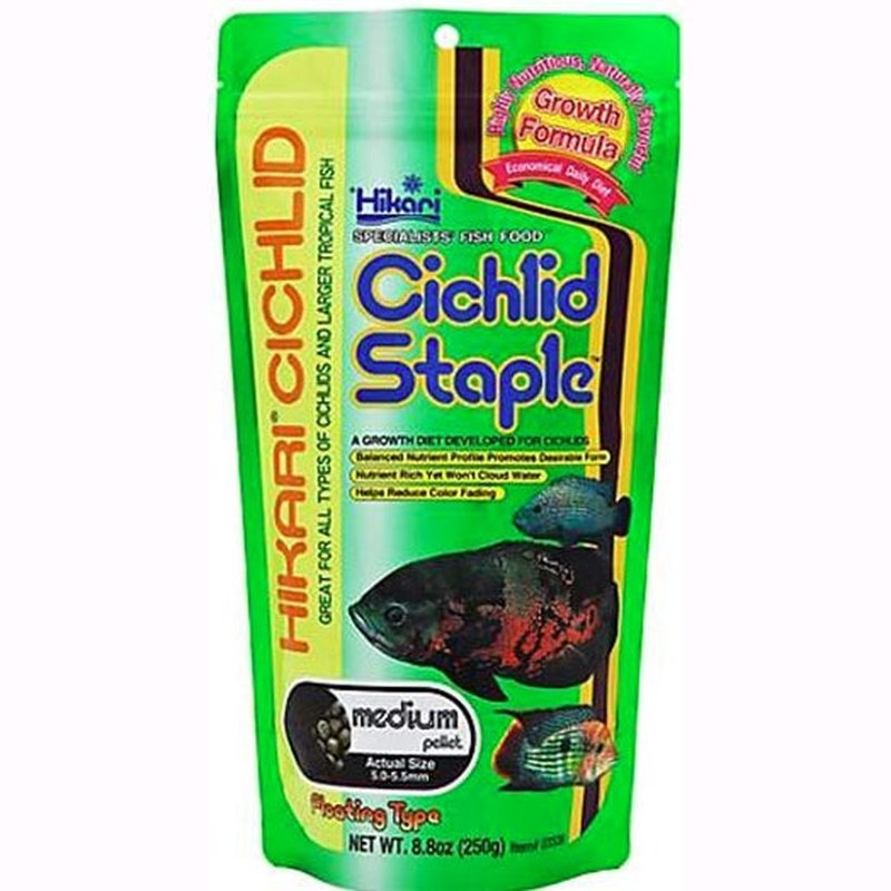 Hikari Cichlid Staple Floating Medium Pellet Food - Scales & Tails Exotic Pets