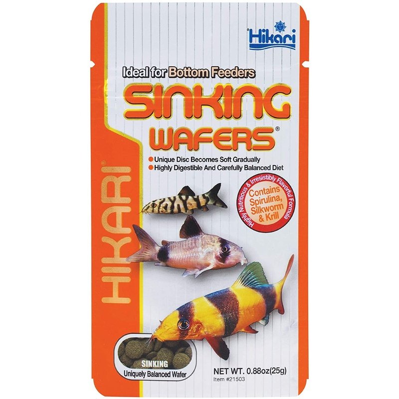 Hikari Sinking Wafers for Bottom Feeders - Scales & Tails Exotic Pets