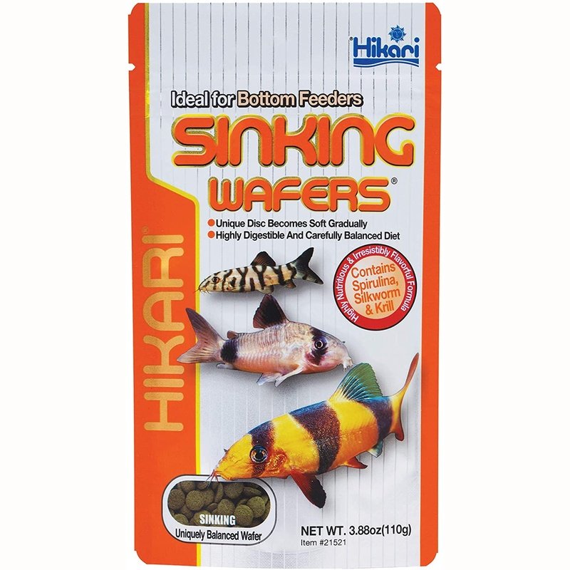 Hikari Sinking Wafers for Bottom Feeders - Scales & Tails Exotic Pets