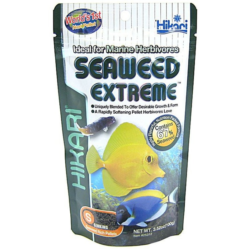 Hikari Seaweed Extreme Sinking Small Pellet Food - Scales & Tails Exotic Pets