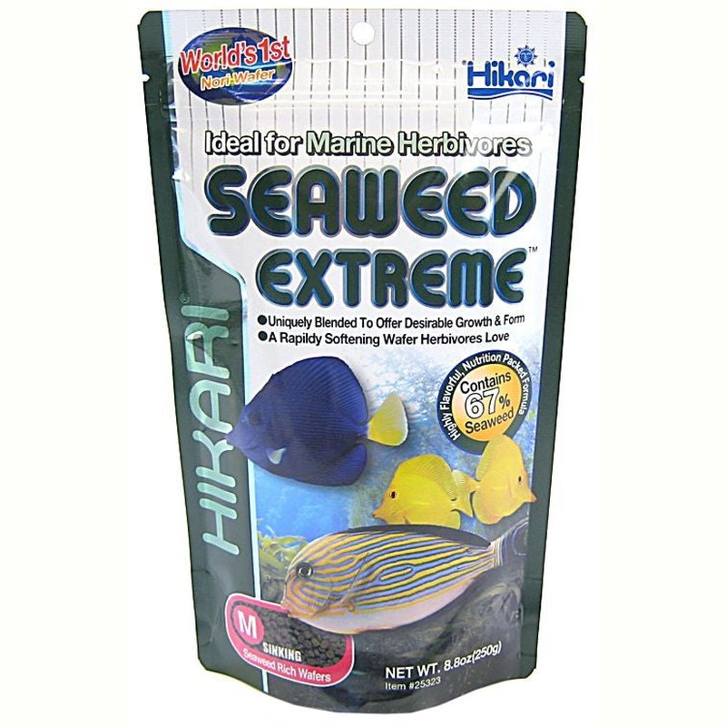 Hikari Seaweed Extreme Sinking Medium Wafer Food - Scales & Tails Exotic Pets