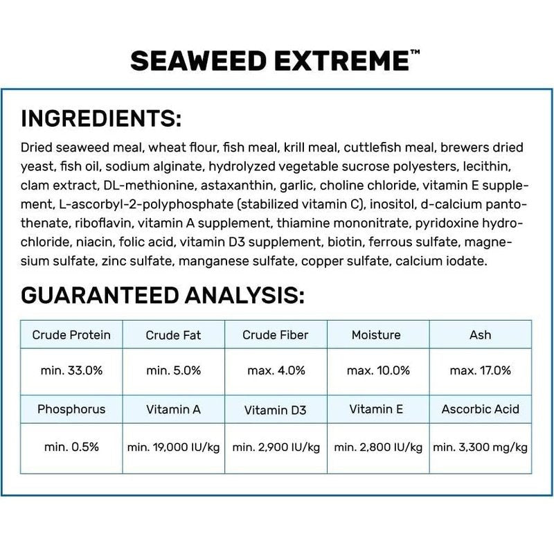 Hikari Seaweed Extreme Sinking Medium Wafer Food - Scales & Tails Exotic Pets