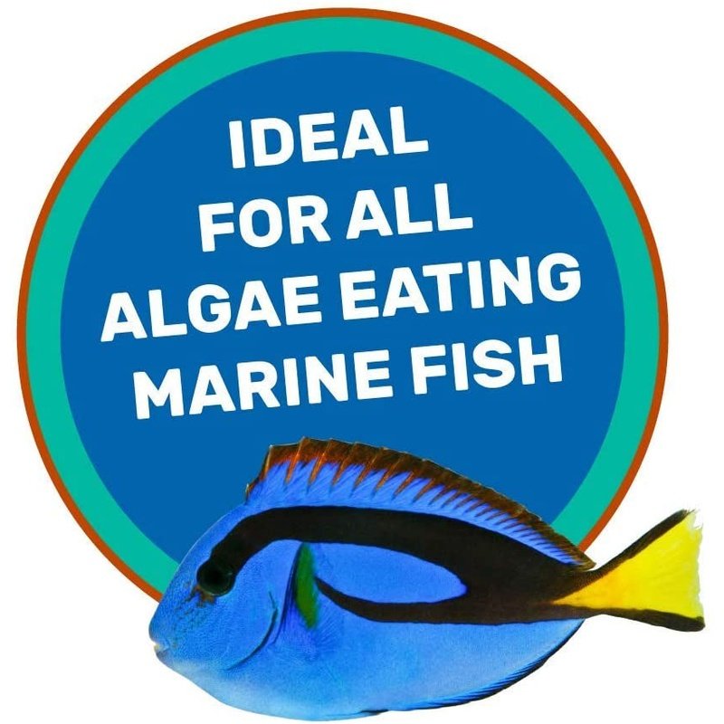 Hikari Saki-Hikari Marine Herbivore Sinking Medium Pellet Food - Scales & Tails Exotic Pets