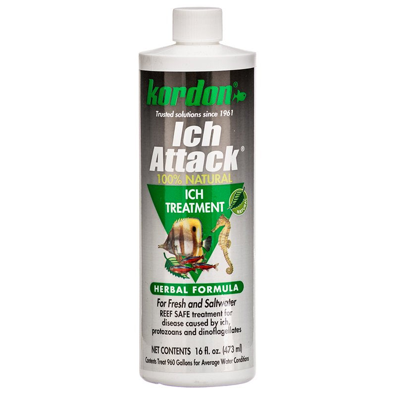 Kordon Ich Attack Ich Treatment Herbal Formula - Scales & Tails Exotic Pets