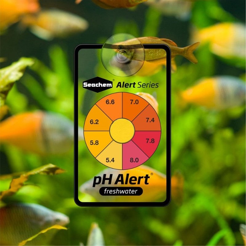Seachem pH Alert Sensor for Freshwater - Scales & Tails Exotic Pets