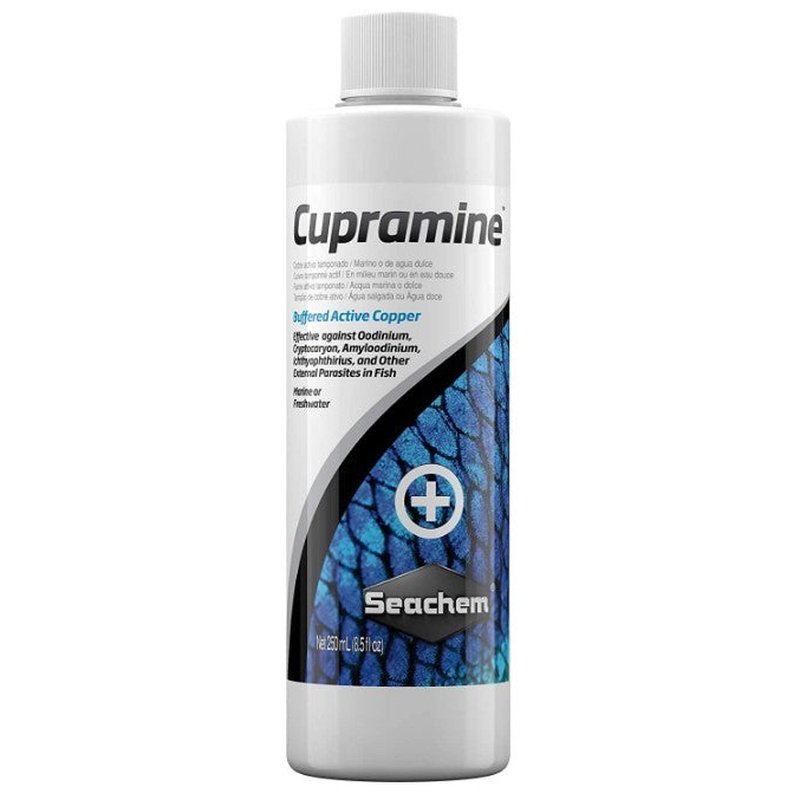 Seachem Cupramine Buffered Active Copper Effective Against External Parasites in Aquariums - Scales & Tails Exotic Pets