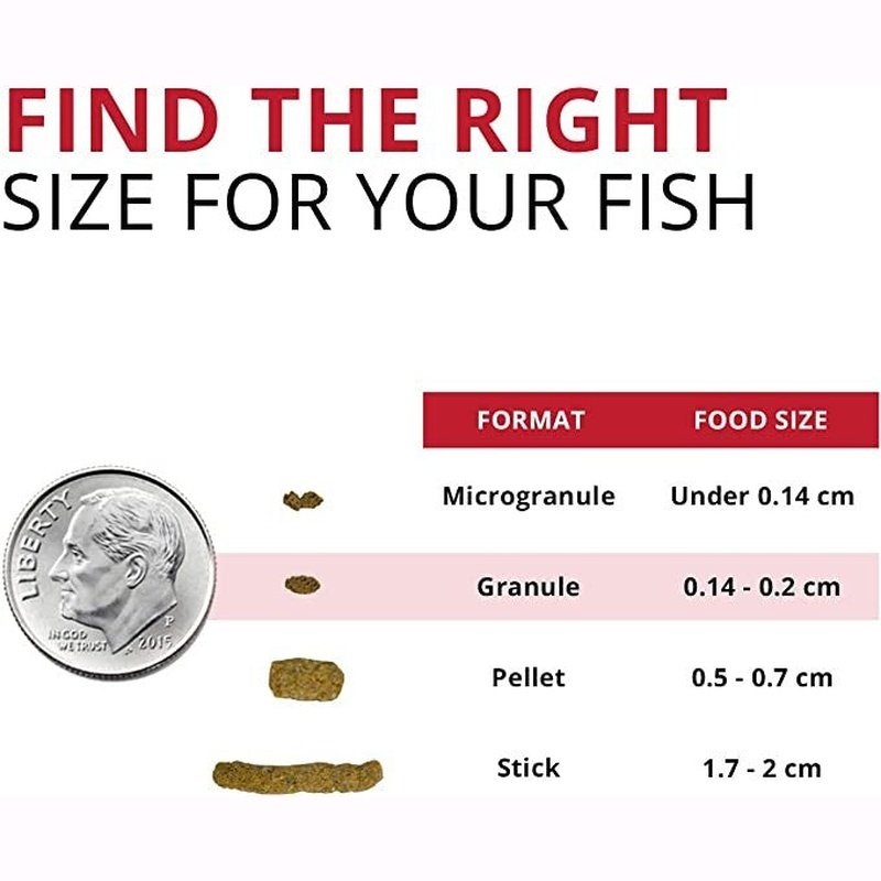 Fluval Bug Bites Cichlid Formula Granules for Small-Medium Fish - Scales & Tails Exotic Pets